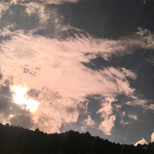 监狱女囚韩漫画免费观看漫画全集
